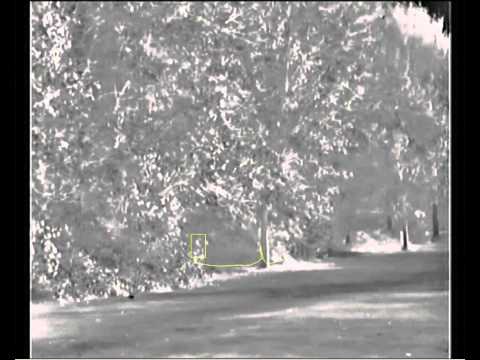 Low Light CCTV Detection Trees